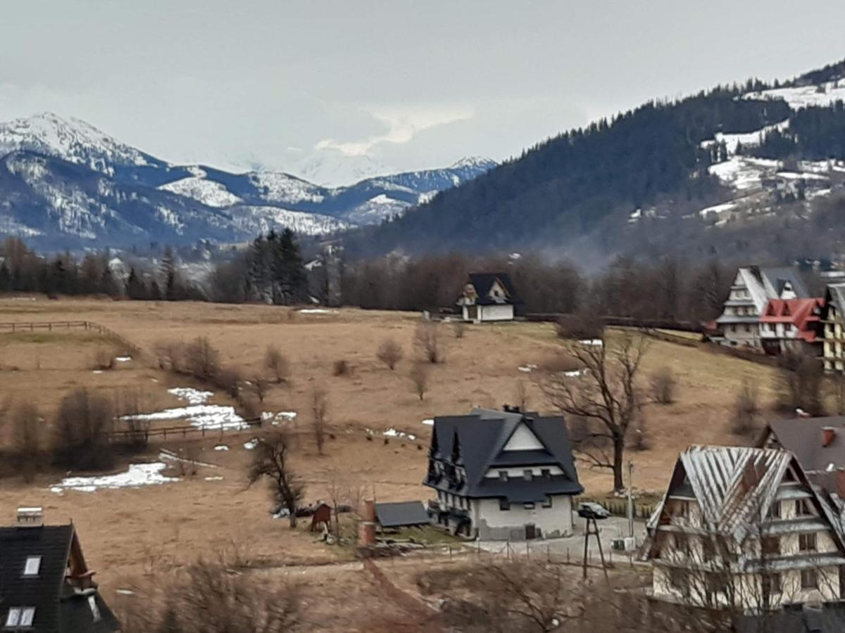 Willa U Magdy Zakopane Buitenkant foto