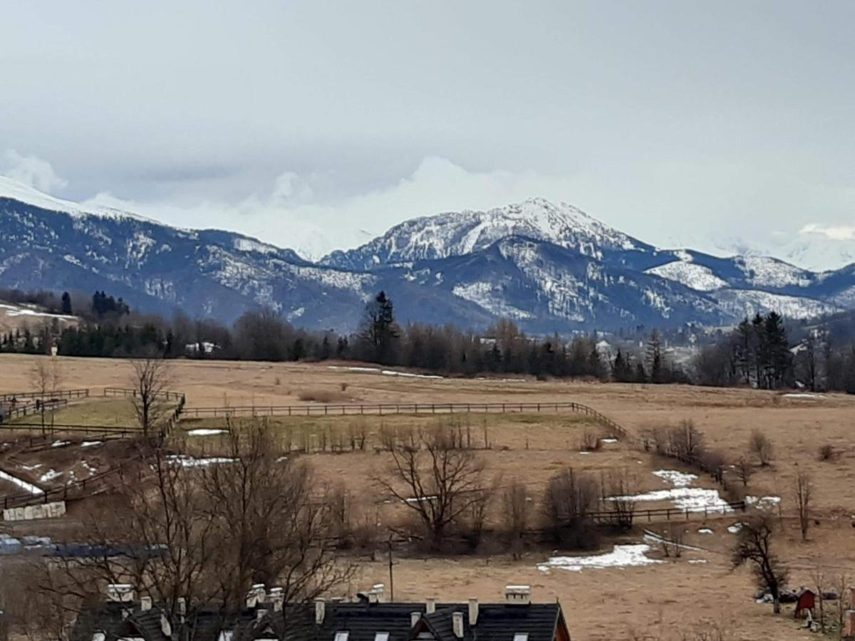 Willa U Magdy Zakopane Buitenkant foto