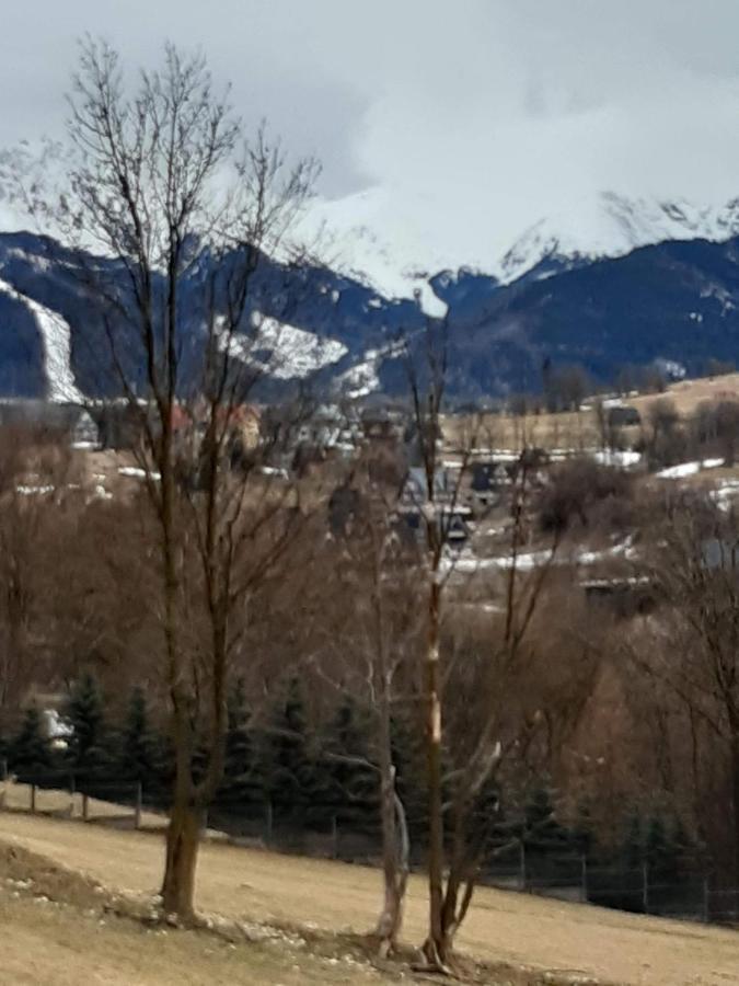 Willa U Magdy Zakopane Buitenkant foto