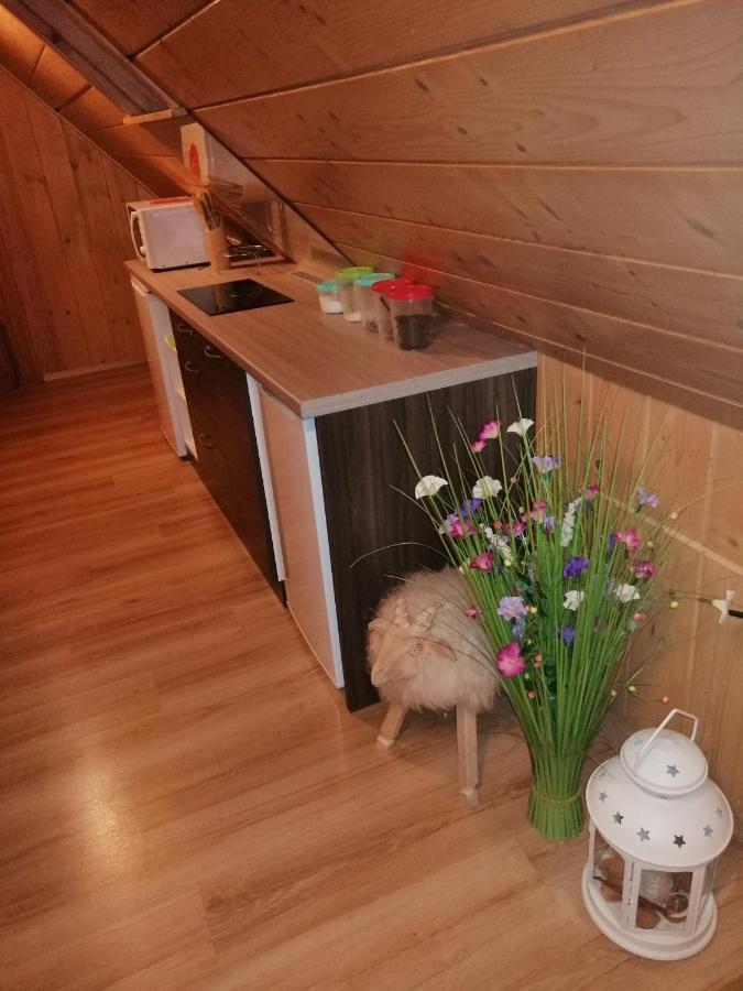 Willa U Magdy Zakopane Buitenkant foto